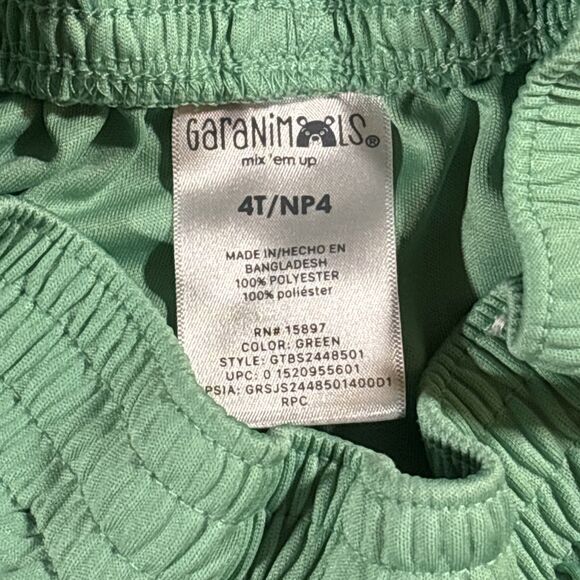 Air Jordan Dri-fit Gray Shirt / Garanimals Green Shorts (4T) 2-piece Outfit Set - Picture 5 of 7